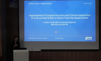25.11.19 증례발표회